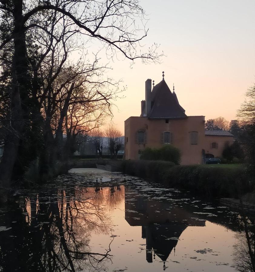 Chateau De La Venerie Denice Luaran gambar