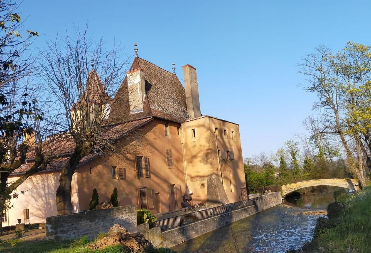 Chateau De La Venerie Denice Luaran gambar