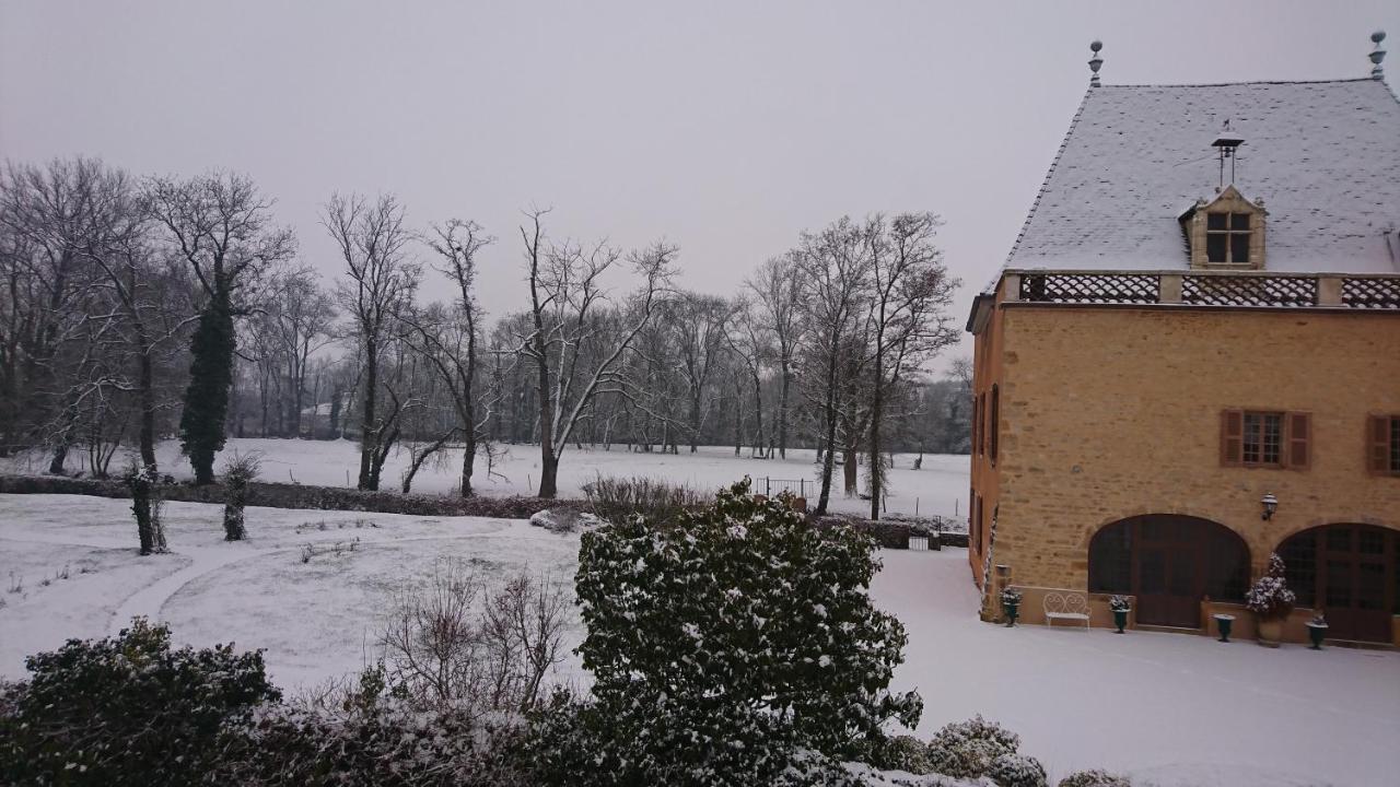 Chateau De La Venerie Denice Luaran gambar